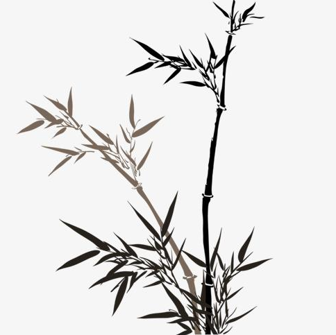 解決composer報錯Composer\Downloader\TransportException