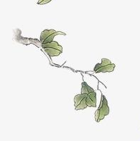 thinkphp6如何判斷查詢結(jié)果為空