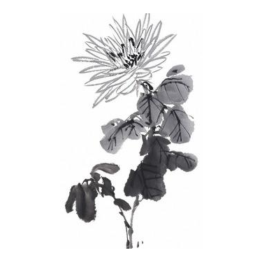 【前端面試十三】CSS權(quán)重如何計算？