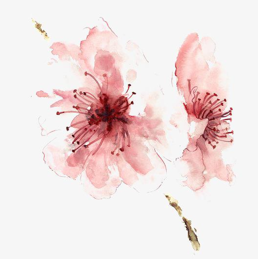 如何訪問谷歌，Ghelper谷歌訪問助手注冊谷歌賬號