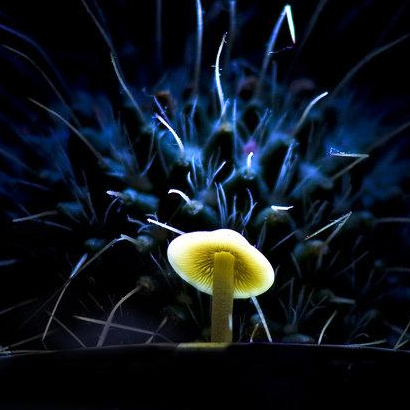 PhpSpreadsheet導(dǎo)入導(dǎo)出