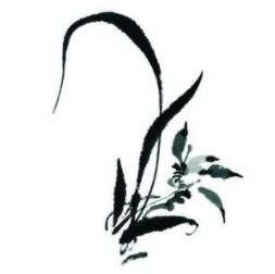 【前端面試四】Iframe的作用和用戶